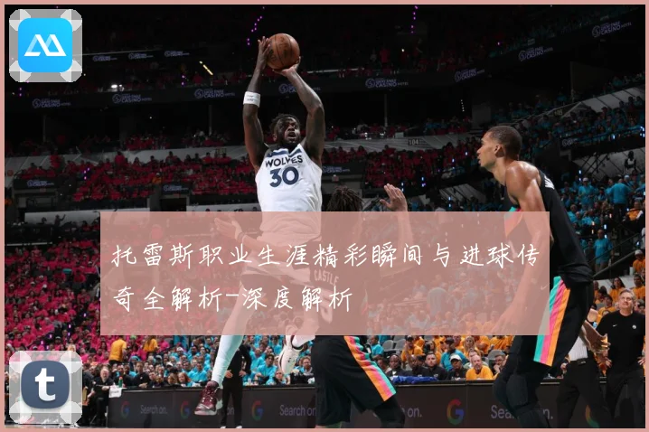 托雷斯职业生涯精彩瞬间与进球传奇全解析-深度解析