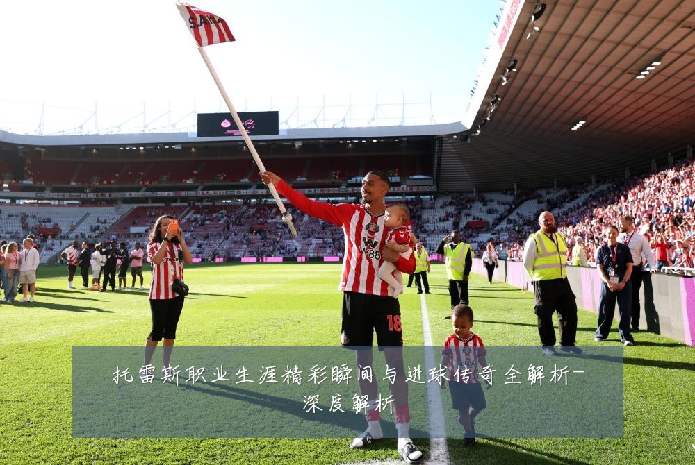 托雷斯职业生涯精彩瞬间与进球传奇全解析-深度解析